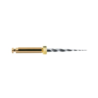 Limas Protaper Gold 19mm SX (A0410-X) (6u) Maillefer