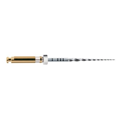 Limas Protaper Gold 25mm S2 (A0410-2) (6u) Maillefer