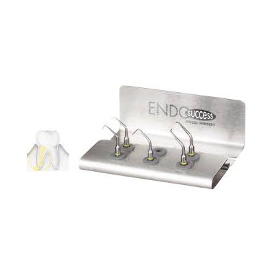 Kit endo success apical...