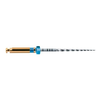 Limas Protaper Gold 31mm F3 (6u) Maillefer