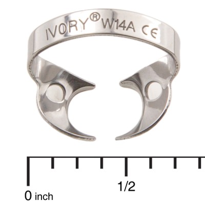 Clamps nºW14A Ivory