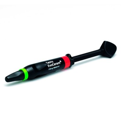 Tetric Evoceram seringa XL Vivadent