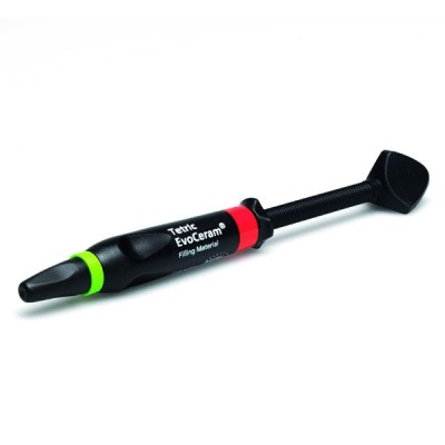 Tetric Evoceram seringa D2 Vivadent