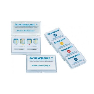 Snowpost Rep. Azul 1