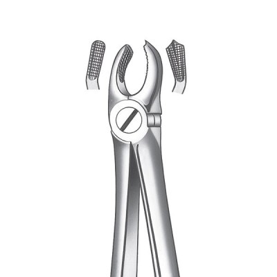 17D Boticão molar sup. Dcha. diam.