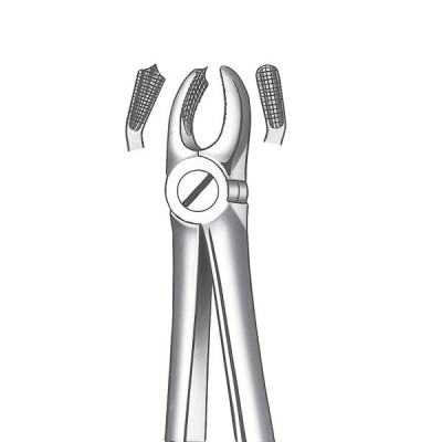 18D Boticão molar sup.izq.diam.